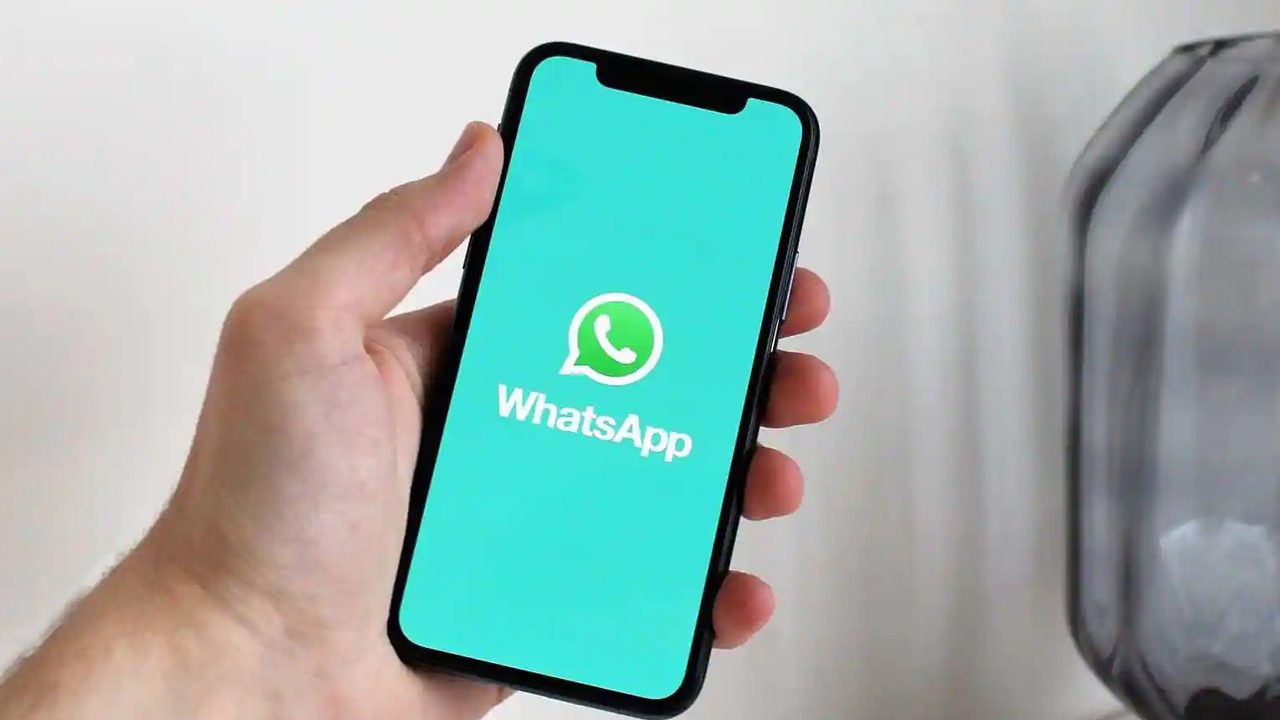 WhatsApp Ability Forward Media