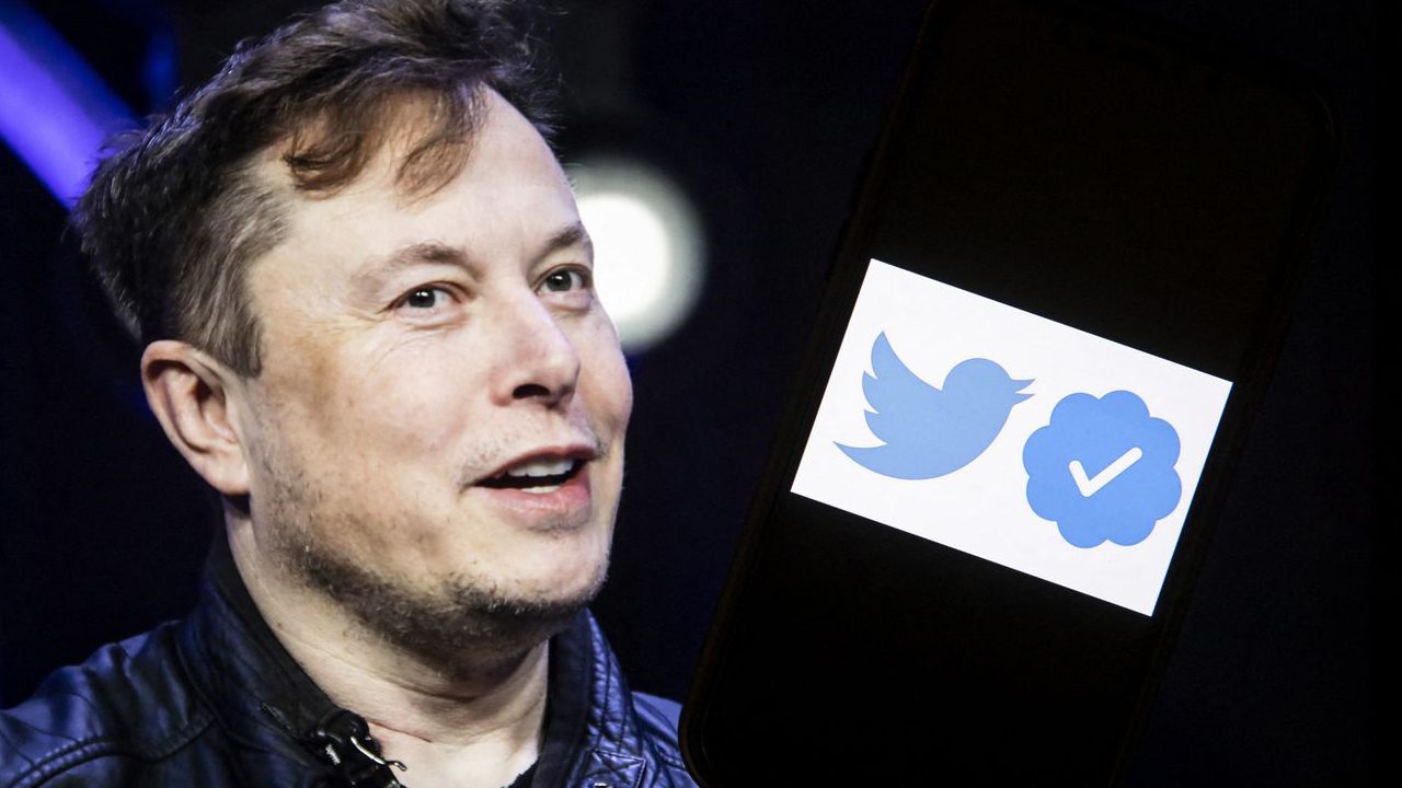 Elon Musk Twitter Give Blue Tick Fake Profile