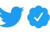 Twitter Delay Blue Tick Verification Service