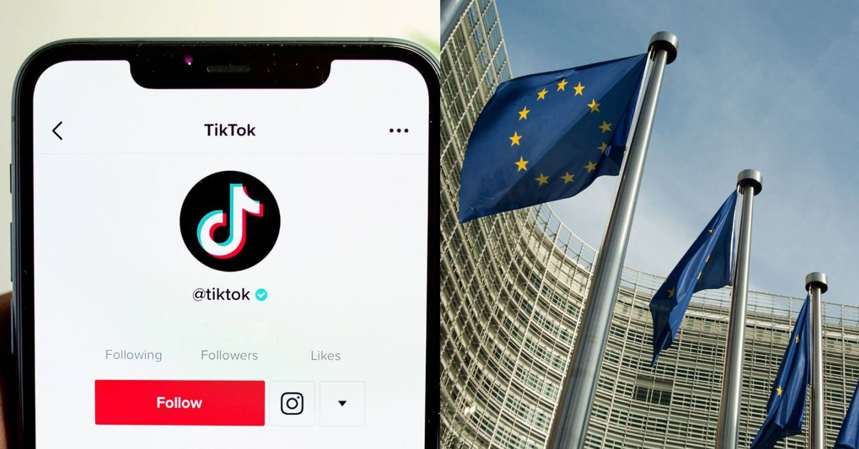 European Commission Delete Bans TikTok