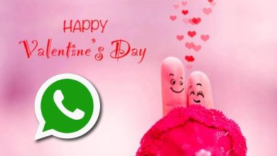 Valentine's Day WhatsApp Sticker