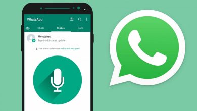 WhatsApp Audio Status Feature