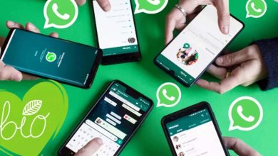 WhatsApp Channel Ownership Transfer Feature Soon