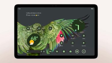 Google Pixel Tablet 2 Display