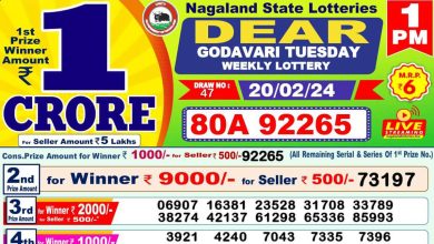 dear-lottery-sambad-result-today-20-02-2024-1-pm-6-pm-8-pm-nagaland-state-lottery-dhankesari-kerala-lottery-live-winner-list