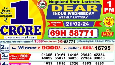 dear-lottery-sambad-result-today-21-02-2024-1-pm-6-pm-8-pm-nagaland-state-lottery-dhankesari-kerala-lottery-live-winner-list