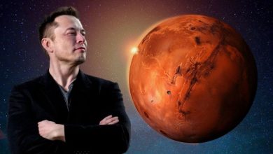 Elon Musk New Plan