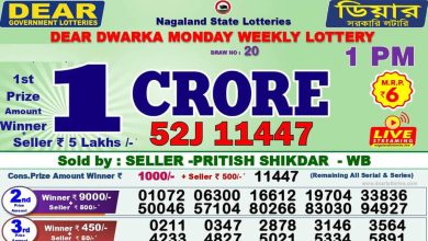 dear-lottery-sambad-result-today-31-03-2024-1-pm-6-pm-8-pm-nagaland-state-lottery-dhankesari-kerala-lottery-live-winner-list