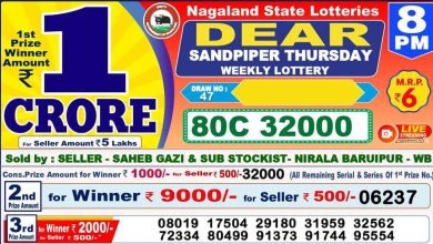 dear-lottery-sambad-result-today-1-04-2024-1-pm-6-pm-8-pm-nagaland-state-lottery-dhankesari-kerala-lottery-live-winner-list