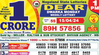 dear-lottery-sambad-result-today-17-04-2024-1-pm-6-pm-8-pm-nagaland-state-lottery-dhankesari-kerala-lottery-live-winner-list