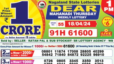 dear-lottery-sambad-result-today-18-04-2024-1-pm-6-pm-8-pm-nagaland-state-lottery-dhankesari-kerala-lottery-live-winner-list