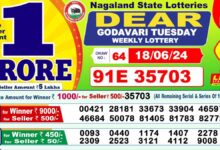 dear lottery sambad result today 1pm 6pm 8pm today 18 june winner list dear godavari wave goose draw result