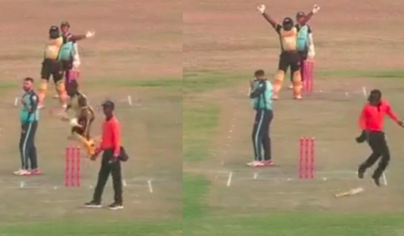 Zimbabwe Domestic Player Francis Sande Extraordinary Celebration Hurt Umpire In Leg Watch Video