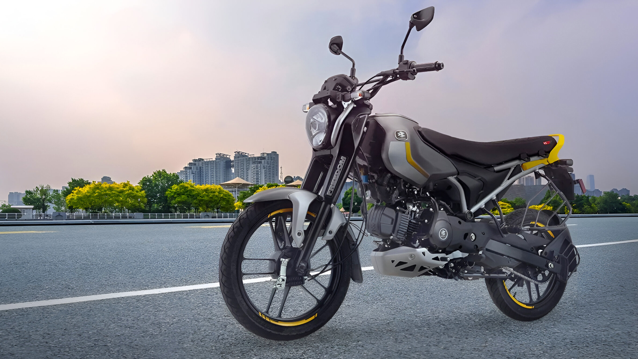 Bajaj Freedom 125: পেট্রল বাইক ছেড়ে সিএনজি মোটরসাইকেল কিনছে লোকজন