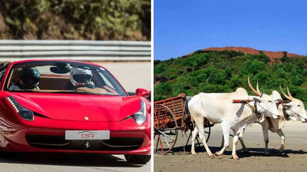 bullock-cart-pulls-out-ferrari-stuck-in-maharashtra-beach-video-viral