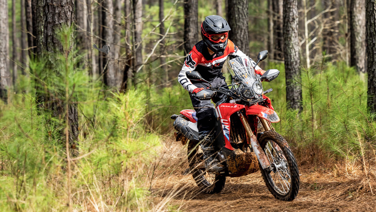 2025 Honda crf300l rally launched in the us check price features